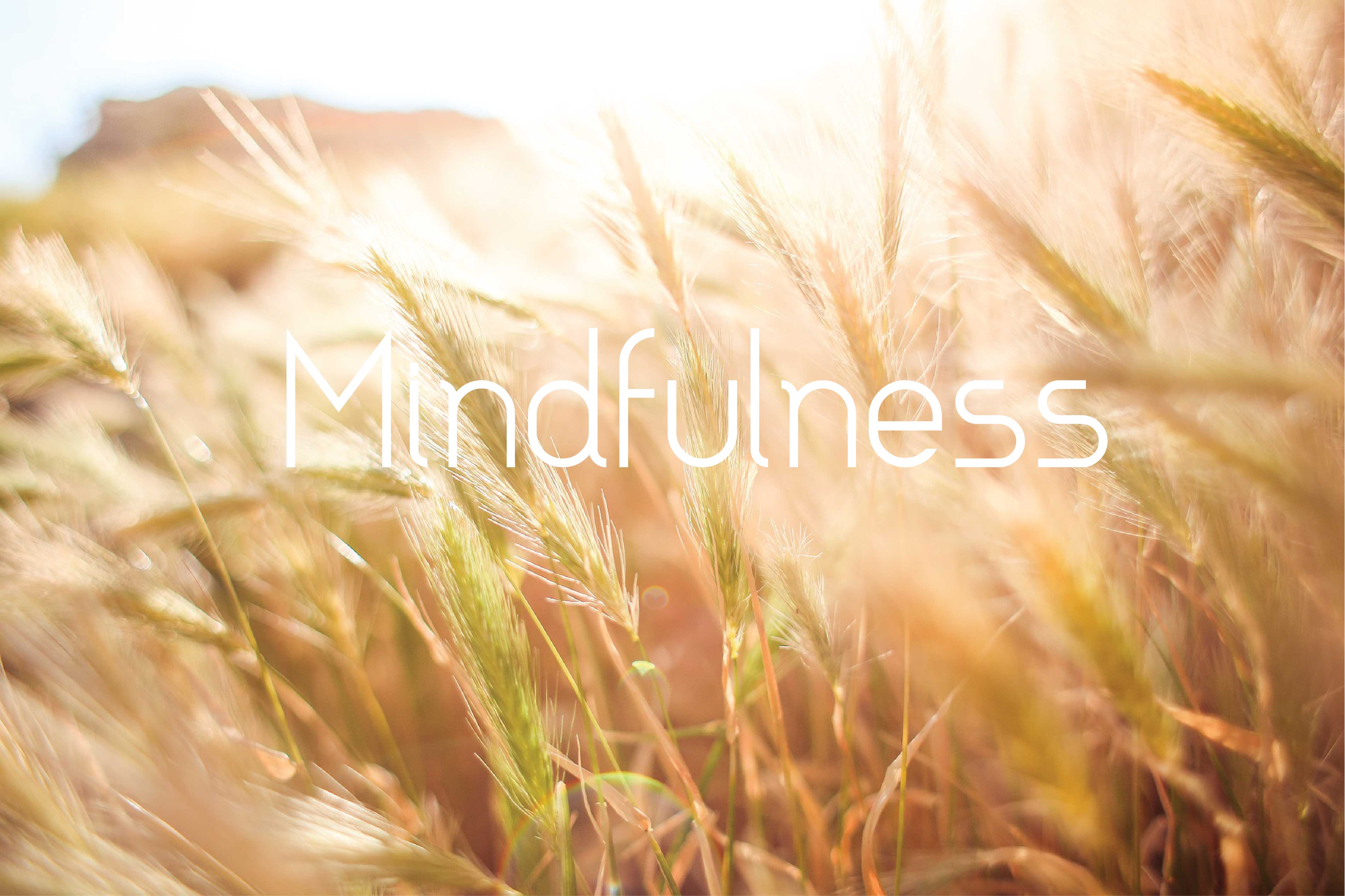 ตอน#1 Mindfulness in Org หลักสูตรเรียก “สติ” เพื่อองค์กรแห่งสุข