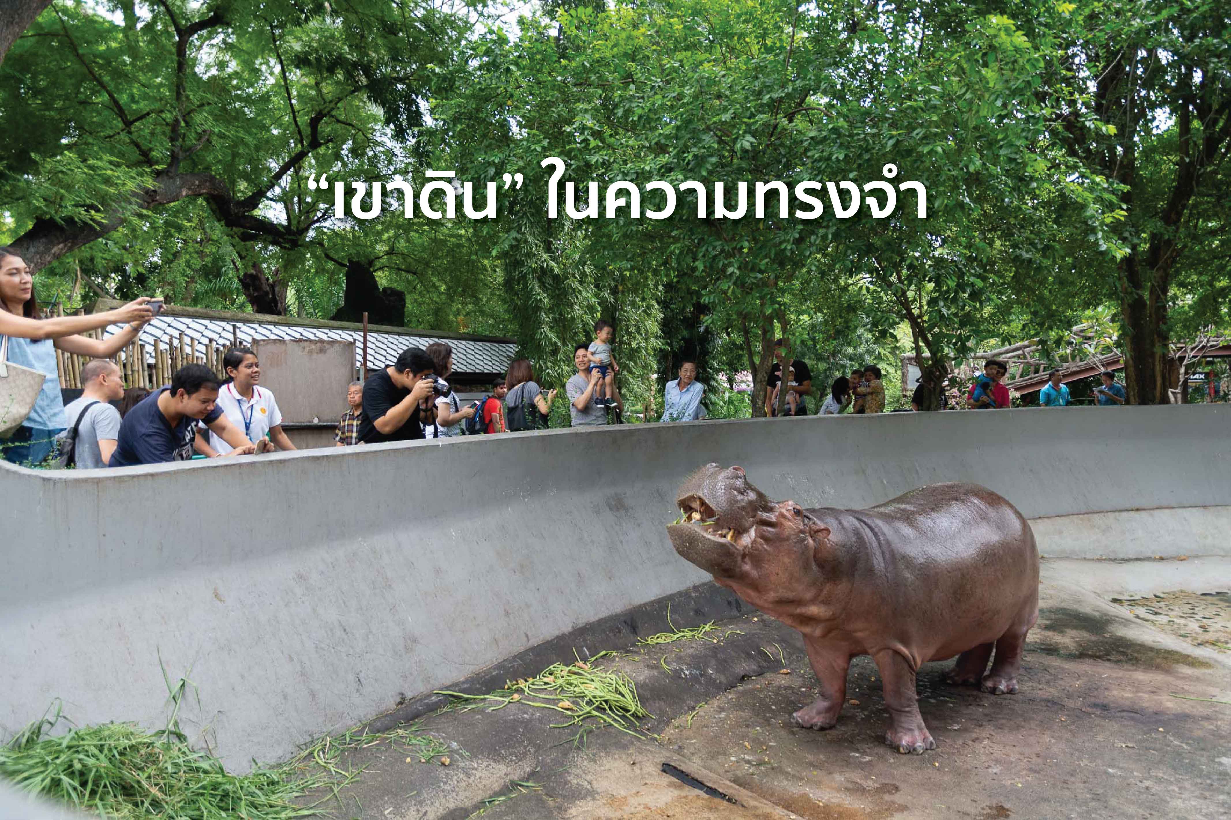 “เขาดิน” ในความทรงจำ